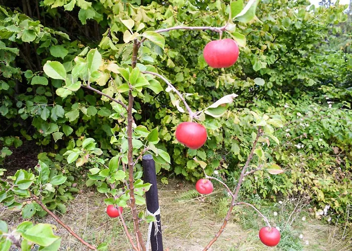 Vakantiehuis 4 Bedroom In Vikersund